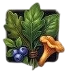 Forage